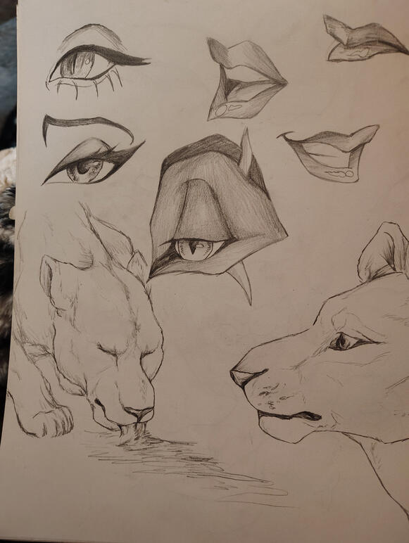 Forgot Date of Completion (VERY OLD)