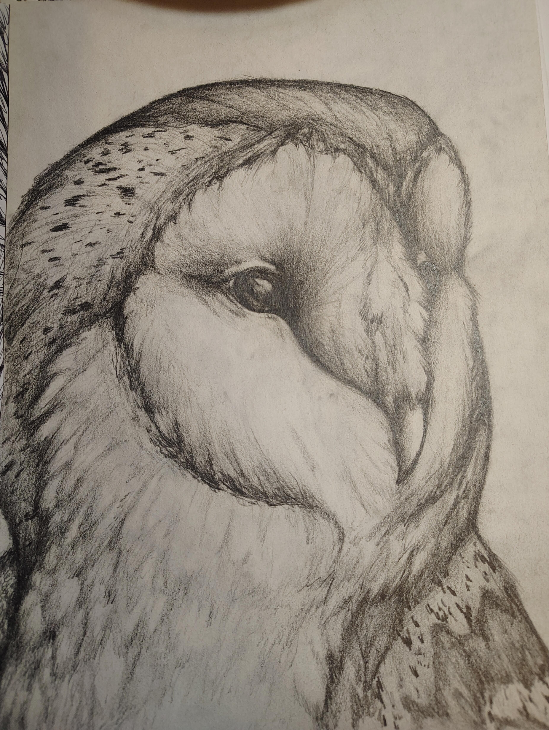 Forgot Date of Completion (2024 Most Likely)