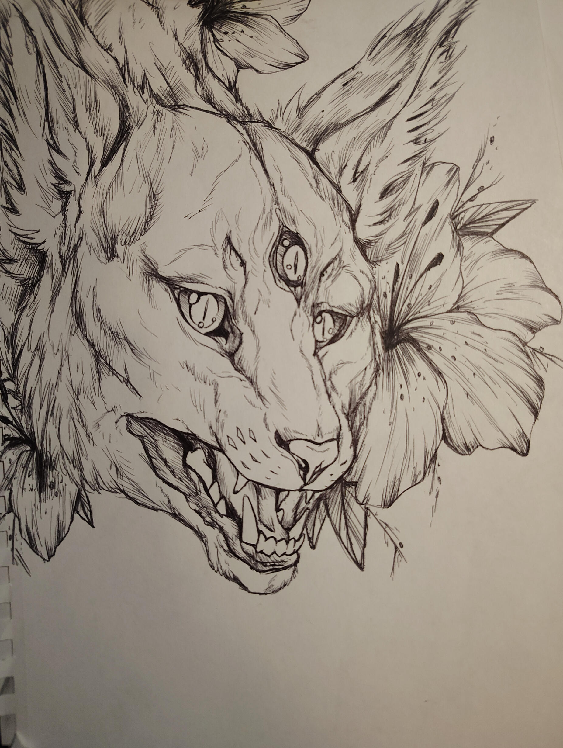 Forgot Date of Completion (2024 Most Likely)