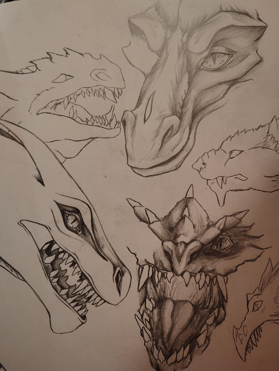 Random Physical Dragon Figurine Practices - Middle School Random Physical Dragon Figurine Practices - Middle School