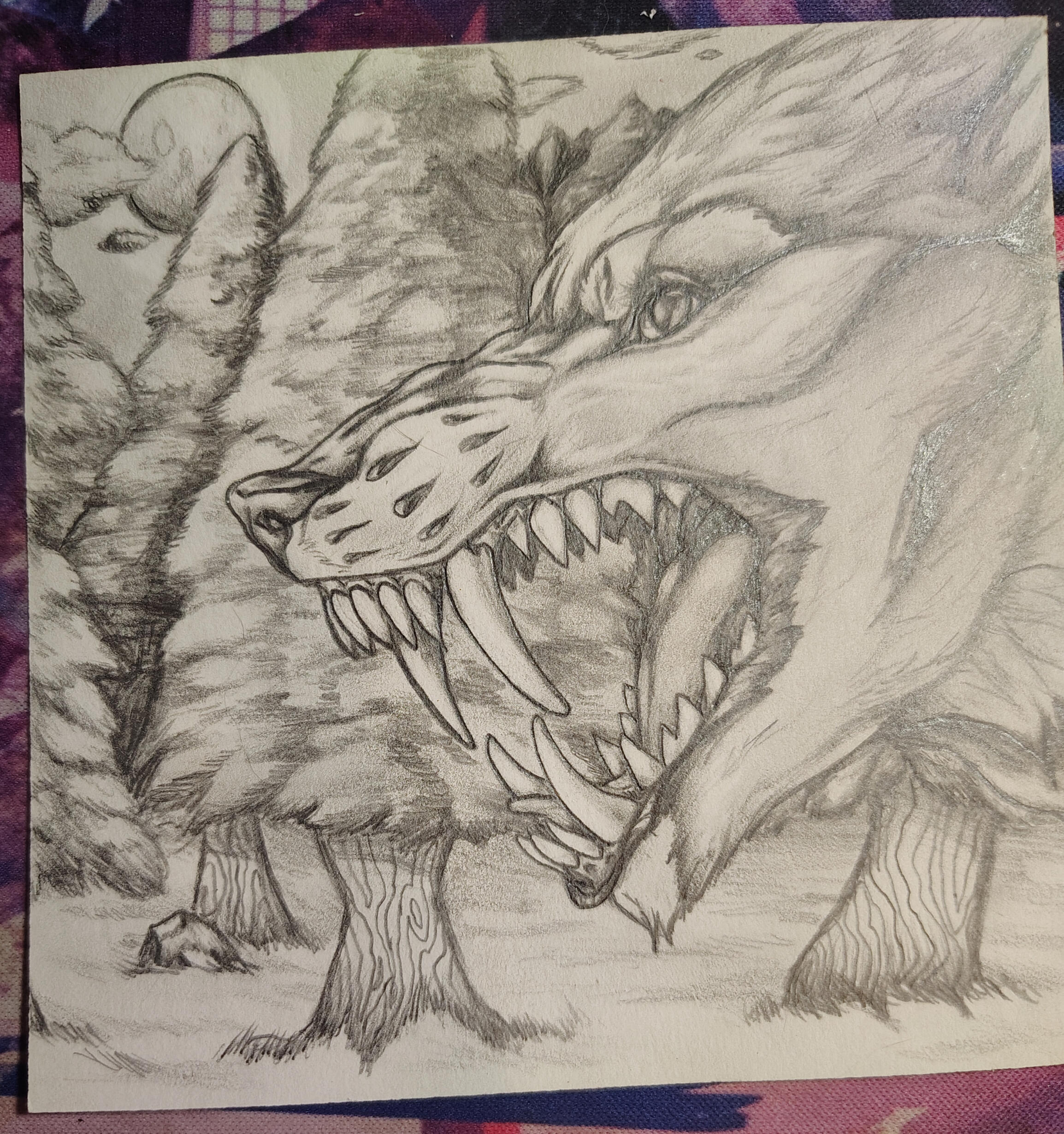 Forgot Date of Completion (2023 Most Likely)