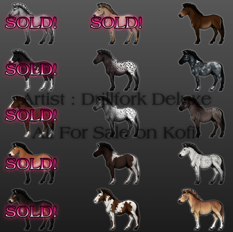 Western Horse Adoptables Western Horse Adoptables